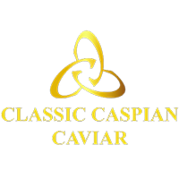 Partenaire 58 – Classic