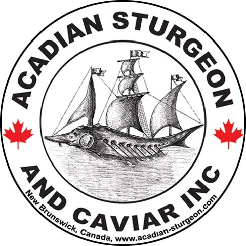 Acadian