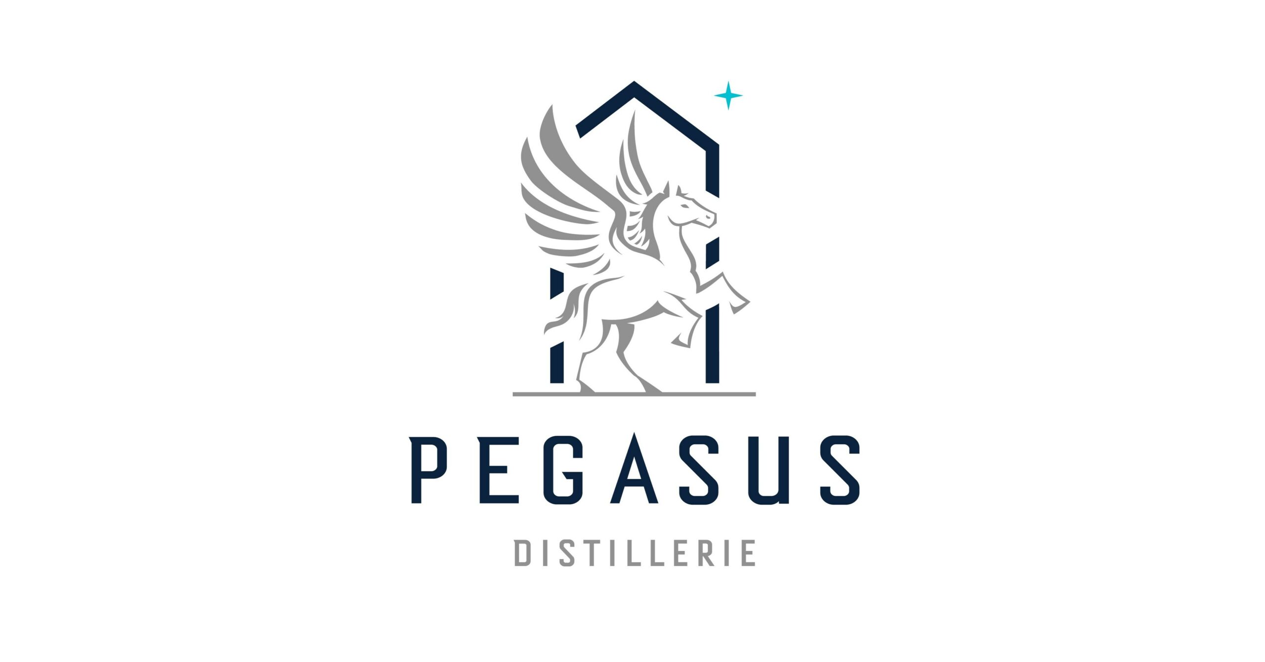 Pegasus